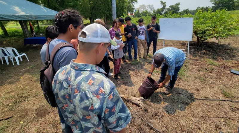 nicaragua, inatec, tecnicas de riego, cultivo de guayaba,