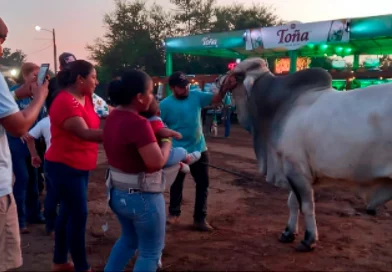 chinandega, feria ganadera, productores ganaderos, nicaragua,