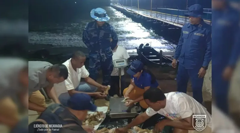 productos marinos, Fuerza Naval, Ejército de Nicaragua, incautó, Puerto Cabezas, ocupó, trasladado de manera ilegal,