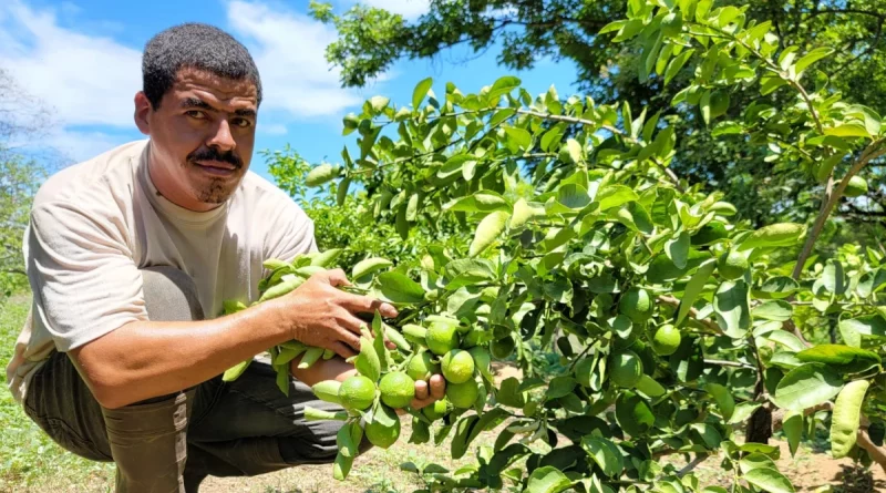 nicaragua, nagarote, inta, productores
