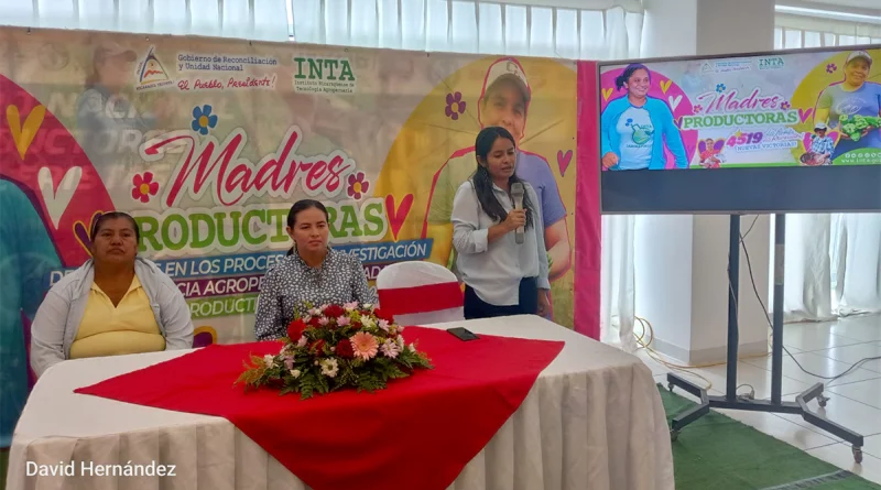 nicaragua, inta, madres prouctoras,