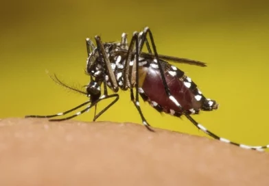 minsa, casos, leptospirosis, neumonia, dengue, influenza, nicaragua, salud