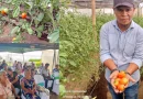 nicaragua, inta, managua, productores, fortalecen conocimientos, hortalizas