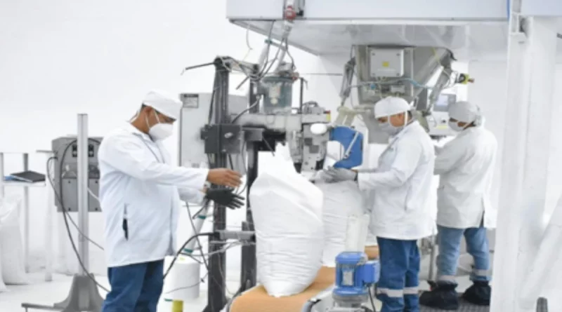 nicaragua, sistema de producción, azucar, nacional, aumento