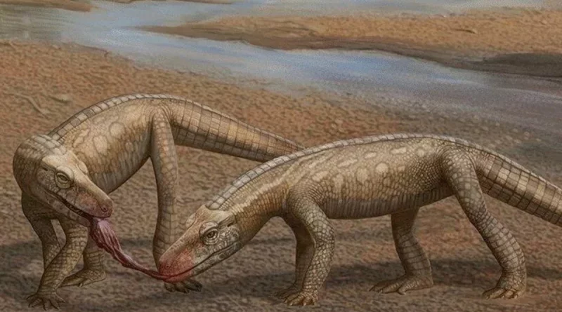 brasil, fosil internacional, reptil, dinosaurios