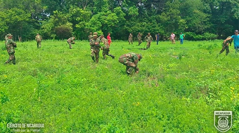 inafor, ejercito de nicaragua, jornada ambiental, ciudad dario, matagalpa