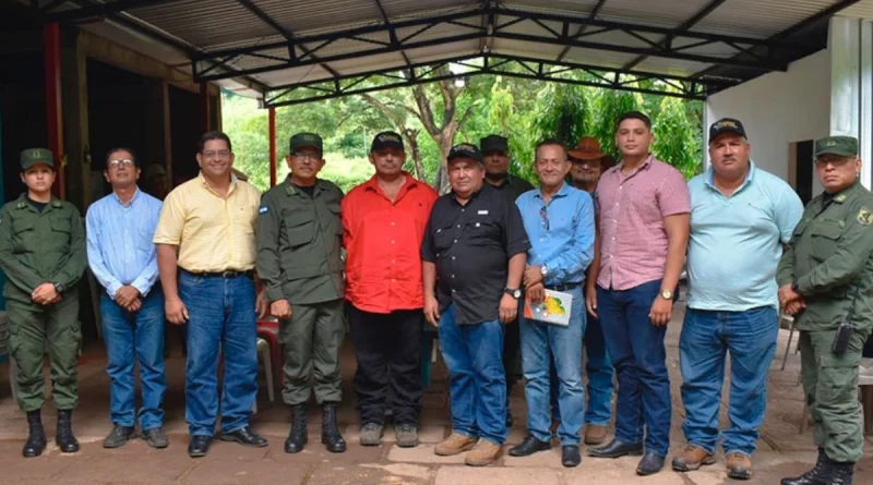 ejercito de nicaragua Managua. Nicaragua, león ejercito de nicaragua, león, participación, asociacionismo de ganaderos, refino,