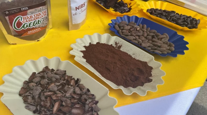 león, festival, cacao, chocolate, noticias, nicaragua, festival del chocolate, león,