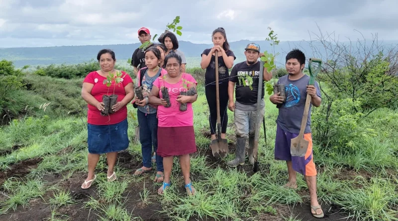 marena, jornada reforestacion, managua, bosques