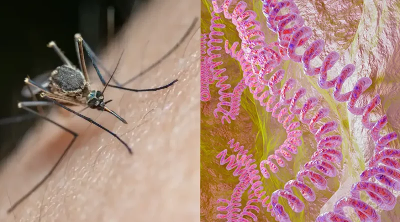 informe minsa, malaria, neumopnia, leptospirosis, nicaragua,