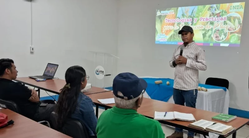 productores de maíz, maíz, cultivos, Managua, nicaragua, productores, técnicas, cultivos,