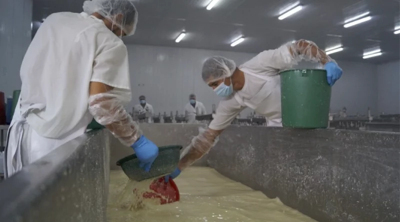 nicaragua, leche, produccion, consumo y comercio,