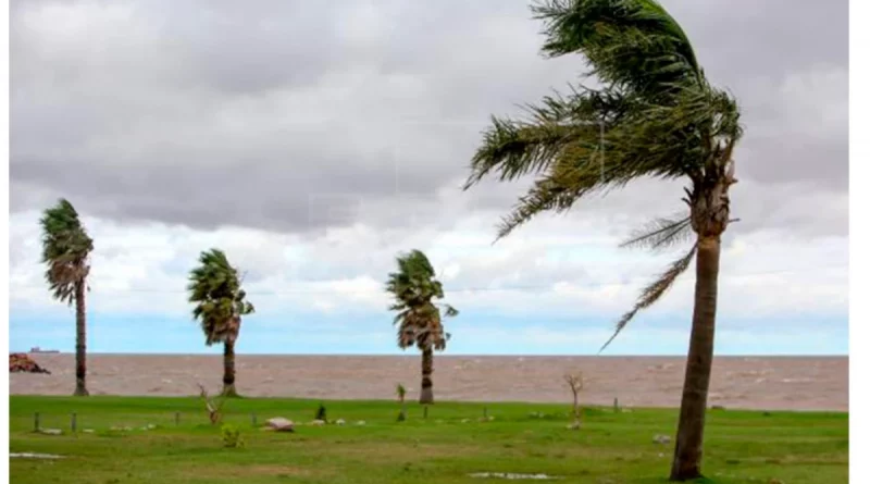 nicaragua, ejercito de nicaragua, monitoreo, caribe, pacífico