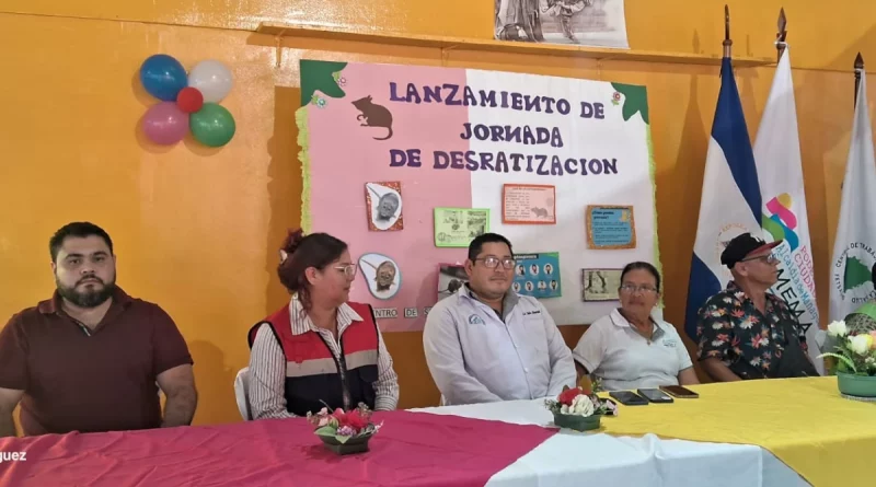 nicaragua, mercados, comemma, ministerio de salud, desratización