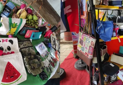 emprendedores, nicaragua, managua, protagonistas, parque de ferias, Managua, nicaragua, gobierno de nicaragua, nicaragua,