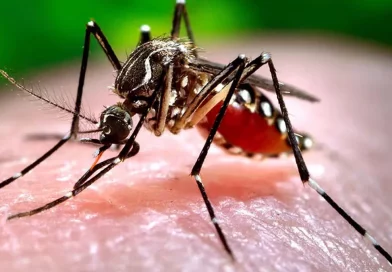 opinion, dengue, nicaragua, minsa