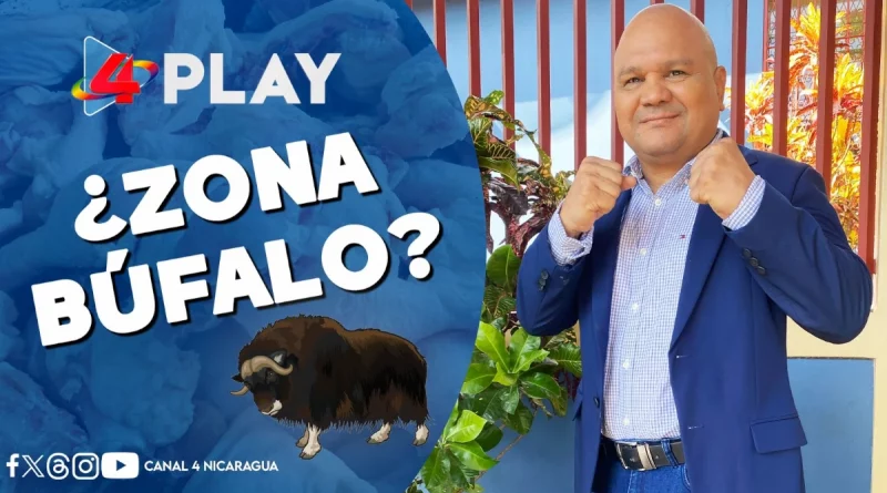 nicaragua, boxeo, rosendo Alvarez, juan caldera, negocios, bufalo