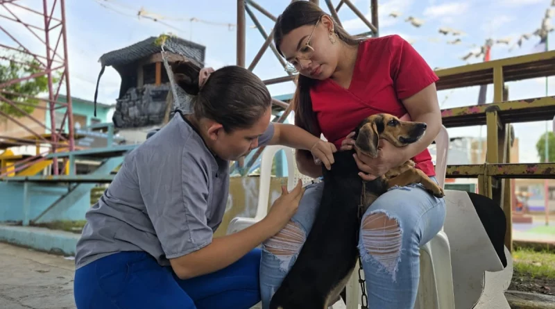 vacunación canina, silais, matagalpa, minsa, nicaragua