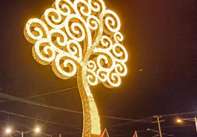 nicaragua, paz, amor, árbol de la vida