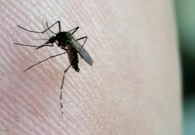 nicaragua, minsa, dengue, malaria, leptospirosis, influenza