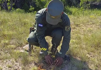 ejercito de nicaragua, jornada de reforestacion, costa caribe norte, nicaragua,