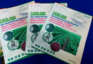 mangua, inta, cultivo, nicaragua, catalogo, plagas, fertlidad,