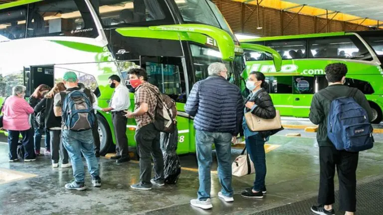 argentina, javier milei, transporte publico, internacionales,
