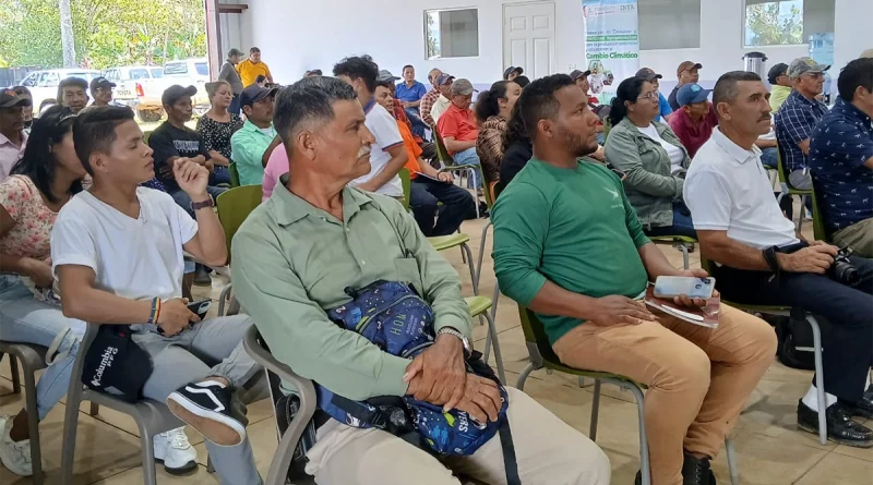 nicaragua, matagalpa, inta, productores,