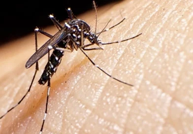 minsa, nicaragua, neumonía, malaria, dengue, leptospirosis, influenza