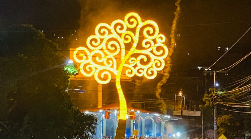 arbol de la vida, matagalpa, nicaragua, nuevas victorias, familias de matagalpa