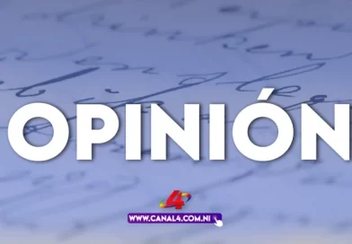opinion, palestina, prisioneros, violencia, olivos, tierra, tomillo, pueblo,