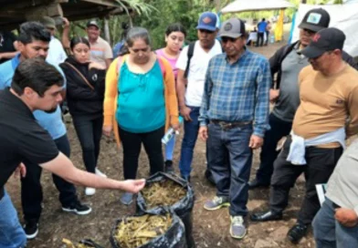 inta, esteli, nicaragua, productores ganaderos, sistema de produccion, biointensiva, ganadería sostenible,