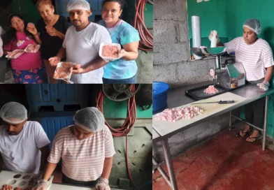 nicaragua, inpesca. mercado candelaria, innovación, desarrollo
