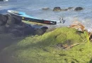 ejercito de nicaragua, corn island, salvamento y rescate, naufragio, lacha, migrantes,