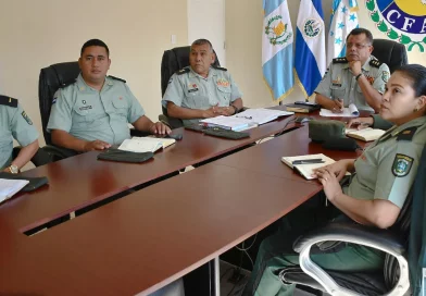 Ejército de Nicaragua , Nicaragua, xi actividad especializada,