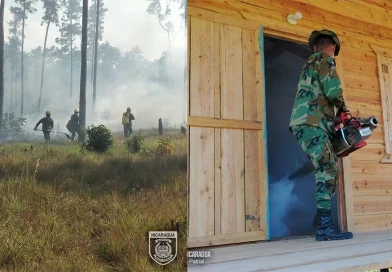 ejercito de nicaragua, costa caribe norte, jornada de fumigacion, sofocacion de incendio forestal,
