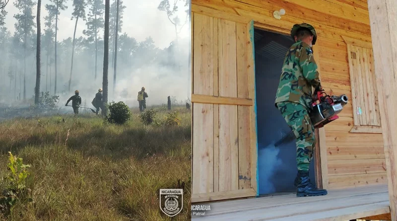 ejercito de nicaragua, costa caribe norte, jornada de fumigacion, sofocacion de incendio forestal,