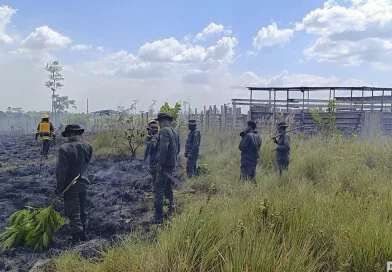 sofocación de incendio agropecuario, prinzapolka, barrio los pinos, comunidad de alamikamba, costa caribe norte, 2 manzanas de maleza, ejército de nicaragua, 15 efectivos militares nicaragüenses