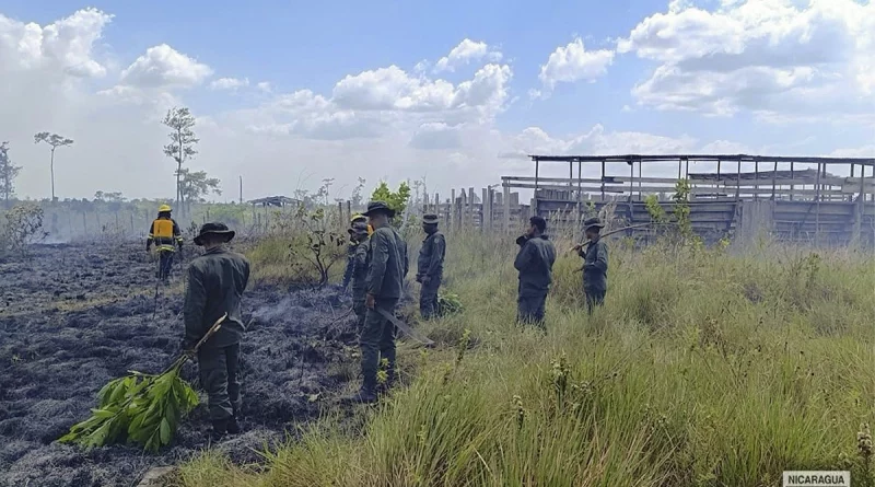 sofocación de incendio agropecuario, prinzapolka, barrio los pinos, comunidad de alamikamba, costa caribe norte, 2 manzanas de maleza, ejército de nicaragua, 15 efectivos militares nicaragüenses