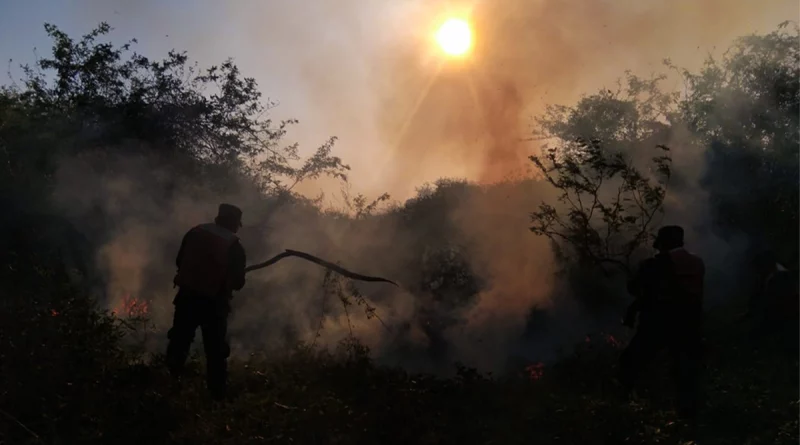 ejercito de nicaragua, incendio forestal, chinandega, corinto,