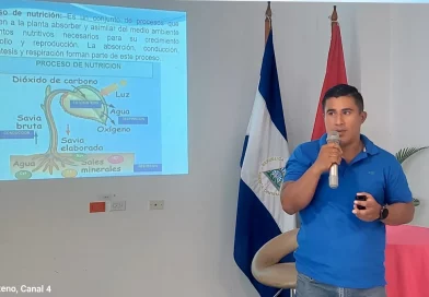 nicaragua, fruticultura, Nicaragua , gobierno de Nicaragua, inta, producción,