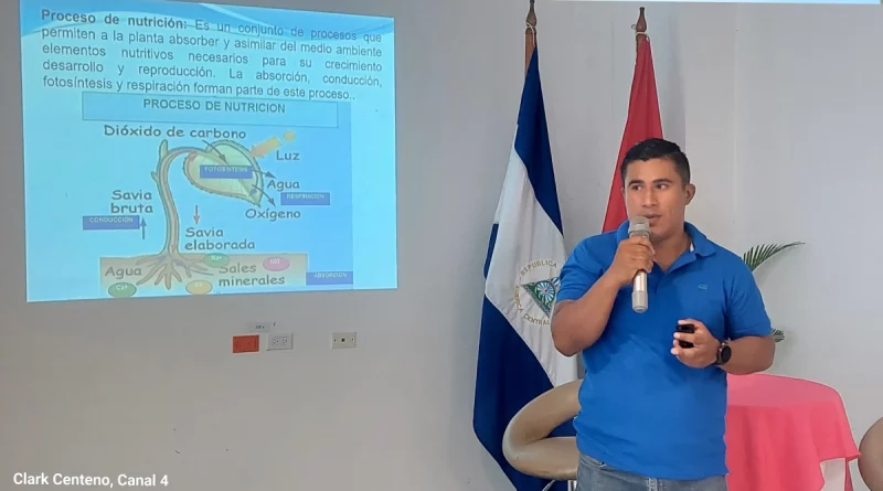 nicaragua, fruticultura, Nicaragua , gobierno de Nicaragua, inta, producción,