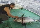 Nicaragua, inpesca, monitoreo, pesquero, costa del pacifico