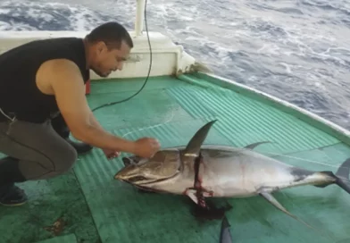 Nicaragua, inpesca, monitoreo, pesquero, costa del pacifico