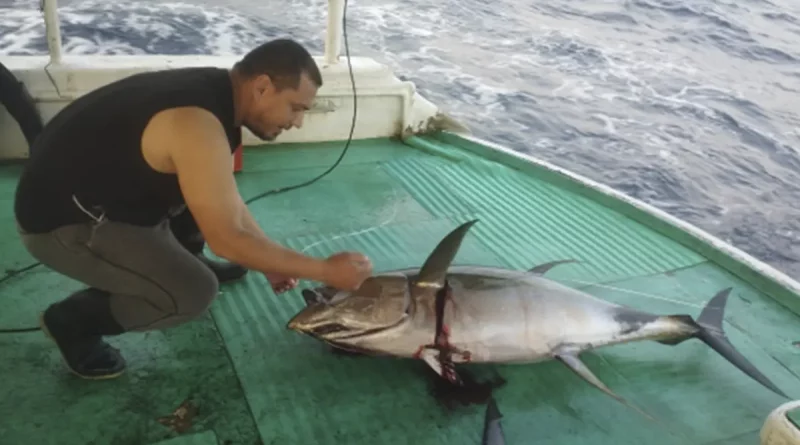 Nicaragua, inpesca, monitoreo, pesquero, costa del pacifico