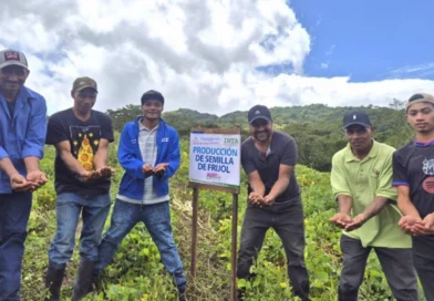 semilla, frijol, inta, ipsa, gobierno de nicaragua, esteli,