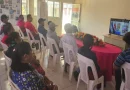 inta, nicaragua, productores de ganado, programa, resultados,
