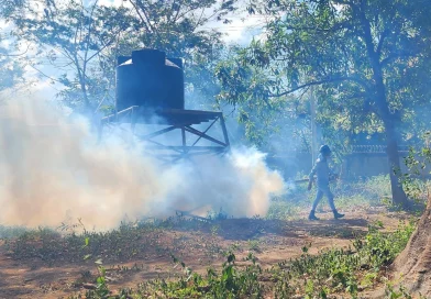 minsa, nicaragua, jornada de fumigacion, managua, abatizacion,