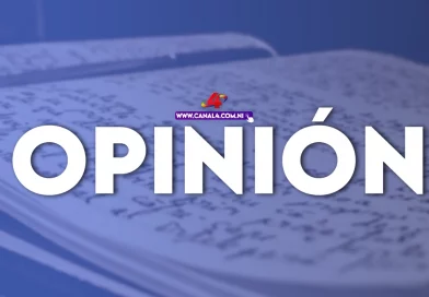 donald trumps, opinion, zelensky, ucrania, otan,