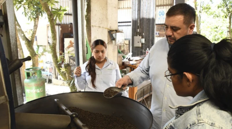 marena, nicaragua, jinotega, empresa, kaffeto coffe roaster,